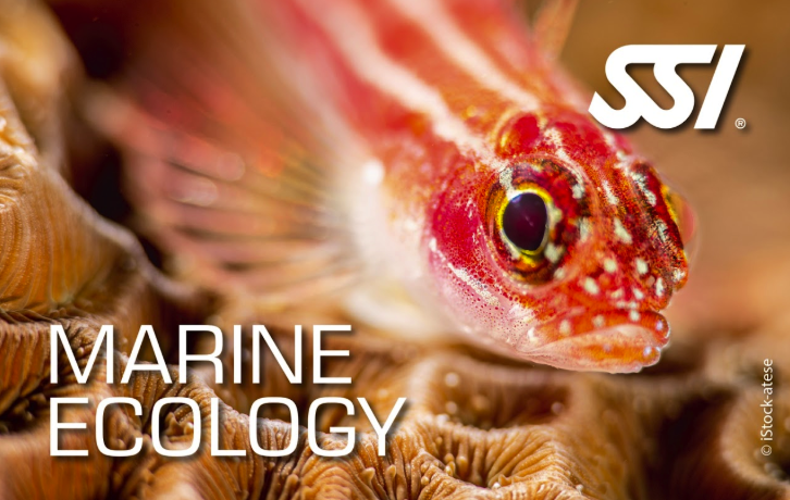 Marine Ecology