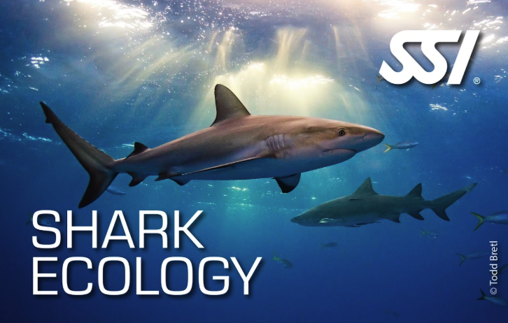 SSI Shark Ecology