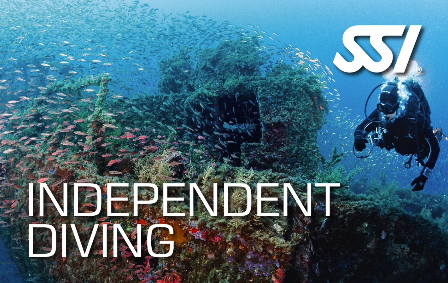 SSI Independent Diving