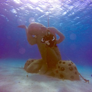 DCIM100GOPROG0018022.