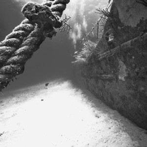 DCIM100GOPROGOPR8155.